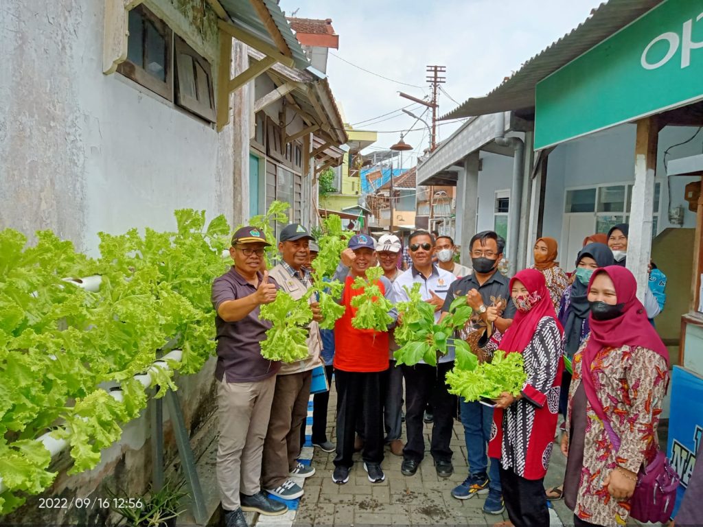 Urban Farming Dengan Penerapan Sistem Hidroponik Menjadi Solusi