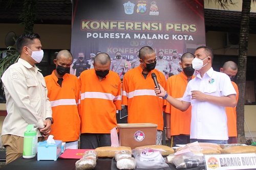 Polisi Bongkar Jaringan Pengedar Ganja di Malang