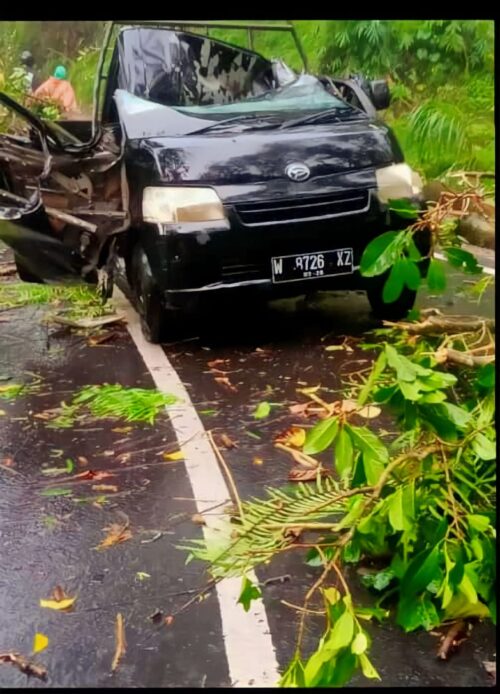 Dahan Tumbang Timpa Pengendara Motor Hingga Tewas Di Ngantang Malang Posco Media 6686