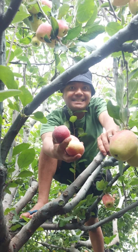Desa Tulungrejo; Tawarkan Wisata Agriraya Mulai Paket Green Smith Sampai Royal Red 2 Malang Posco Media