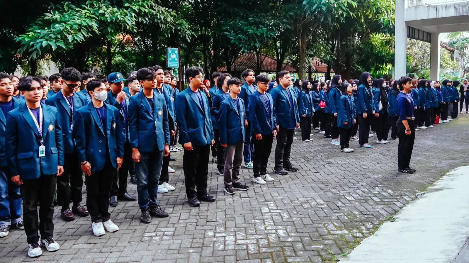 WhatsApp Image 2025-07-02 at 16.56.58