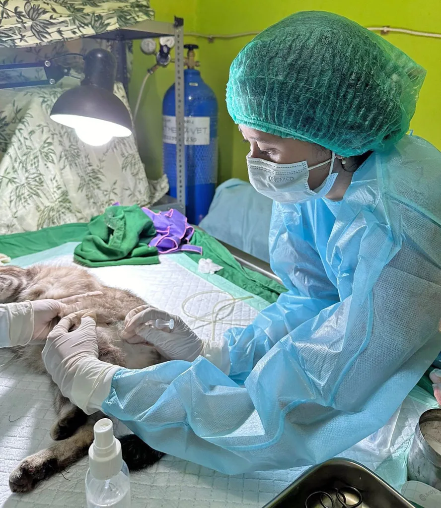 Teliti Jahe Merah Sebagai Antikoksidiosis, Lulus Ingin Jadi Dokter Hewan 1 Malang Posco Media