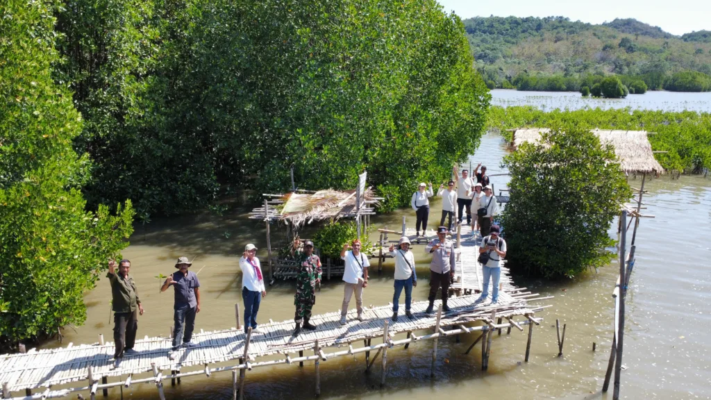 Rehabilitasi Mangrove