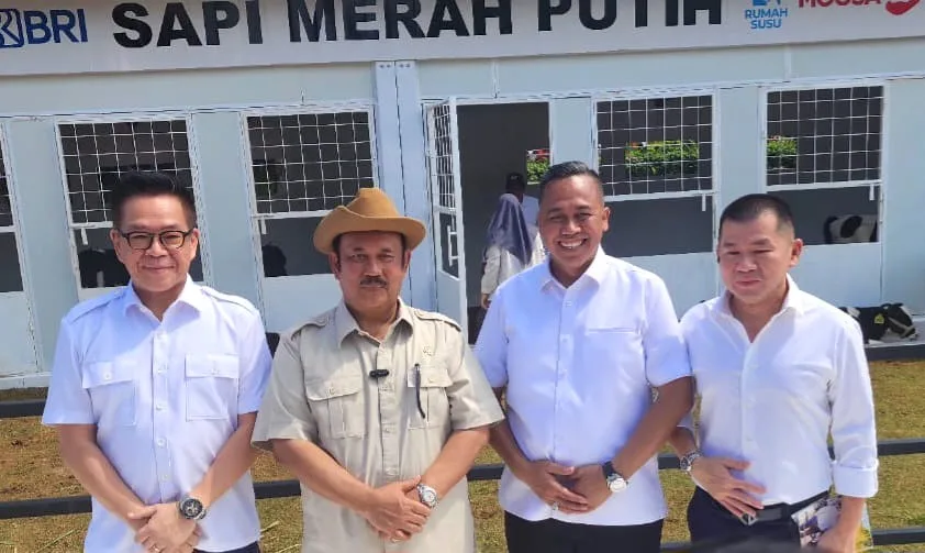 Sapi Merah Putih Diluncurkan, Kian Sejahterakan Peternak 1 Malang Posco Media